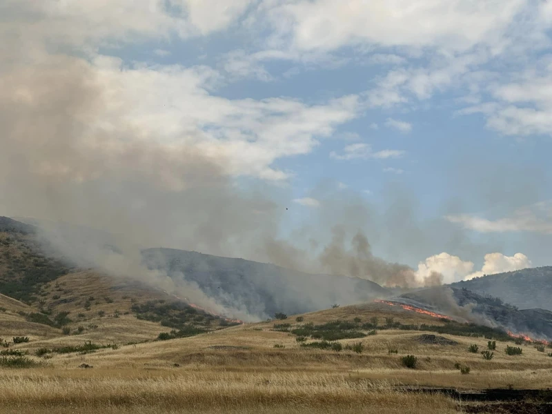 �������� ������ �� ������ ���� "������"