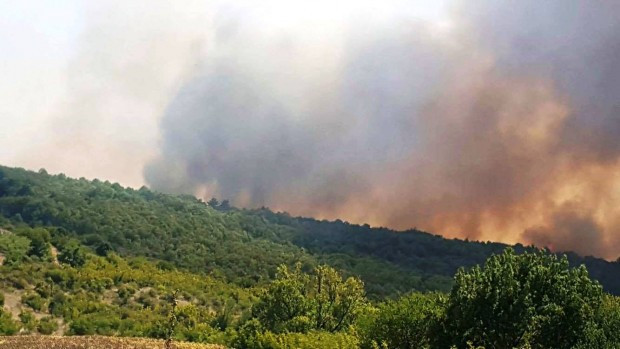 По искане на пожарната Община Бургас ще предостави 4 водоноски