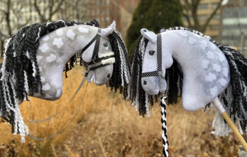 ����� � Hobby horsing?