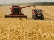 Зърнопроизводители от Пловдив: Ситуацията е много притеснителна, ще калк...