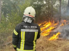 Цял ден пожари бушуват в Пловдивско, щетите са големи