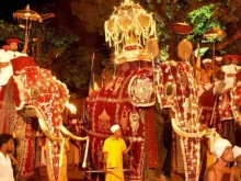 Слон вилня по време на религиозна процесия в Шри Ланка, рани 13 души