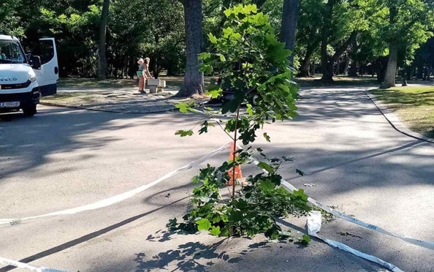 Община Варна предприема спешни действия за запълване на пропадането в