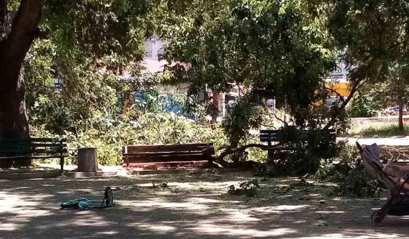 Голям клон рухна и се стовари на детска площадка в Пловдив