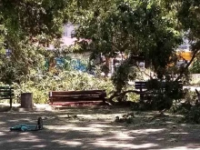 Голям клон рухна и се стовари на детска площадка в Пловдив