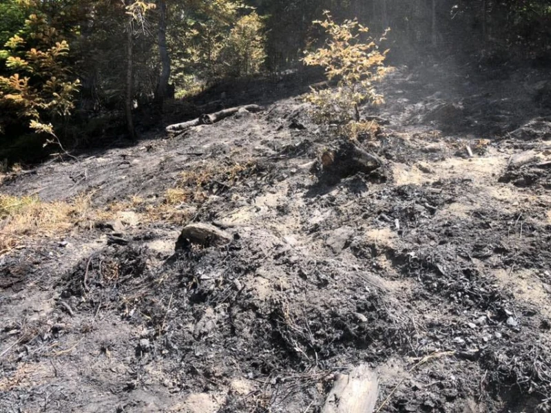 Пловдивски огнеборци гасят четири пожара