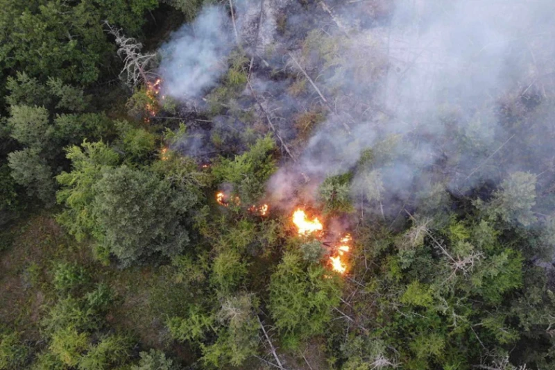 Над 150 дка са опожарени край село Преколница