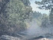 ����� � ���� "�������"