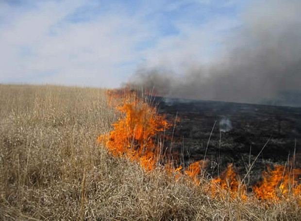 </TD
>Над 100 дка сухи треви горят край Русе, съобщиха за