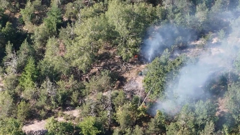 Две огнища са се възобновили при пожара в Осогово