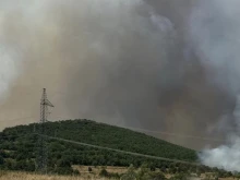 Кмет на пловдивско село с отчаян призив!