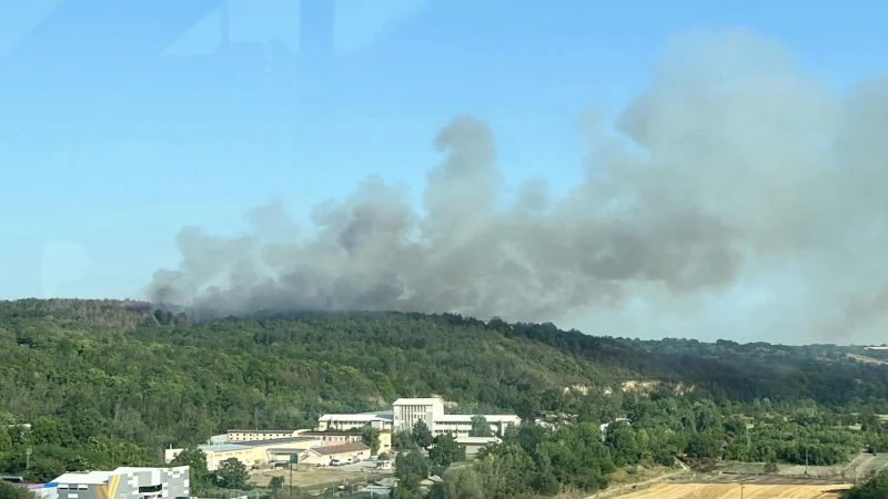 Пожарът е в гора над Русе: Екипи се борят с огнената стихия
