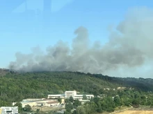 Пожарът е в гора над Русе: Екипи се борят с огнената стихия