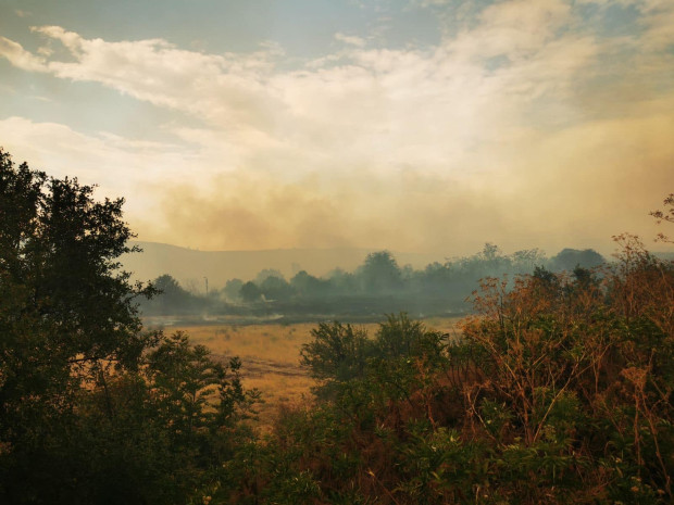 В община Свиленград са изгорели над 100 000 дка площи