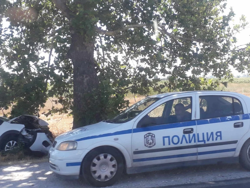 Катастрофа до Пловдив, кола е в канавката след удар в дърво