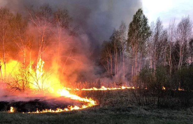 Всеки който запали огън на разстояние по малко от 100 метра