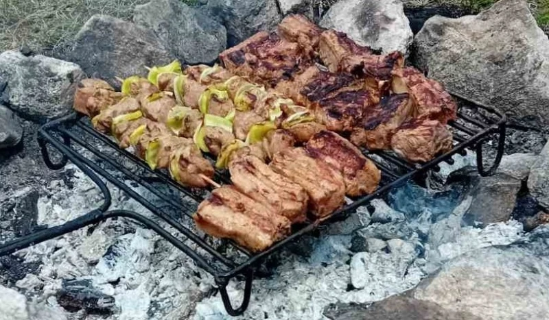 Граждани запалиха огън в гората, за да си пекнат пържоли, глобиха ги