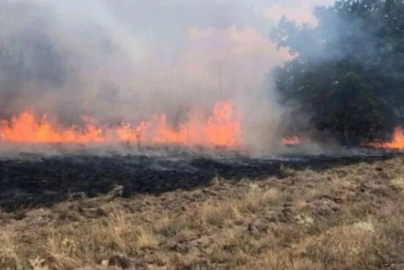 Пожарът в Свиленградско е локализиран на всички фронтове и е под контрола на пожарната