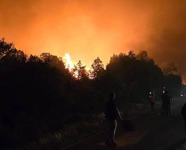 Образувано е досъдебно производство за горския пожар край Стара Загора, щетите са значителни