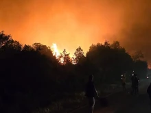 Образувано е досъдебно производство за горския пожар край Стара Загора, щетите са значителни