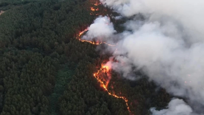Иглолистна гора пламна край Стрелча! Огнеборци от шест града и доброволци се борят със стихията