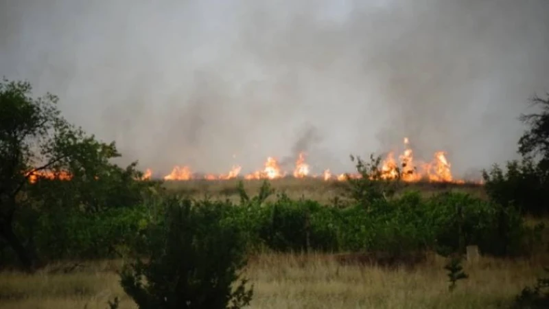 Пожар гори в землището на Горска поляна