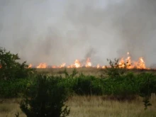 Пожар гори в землището на Горска поляна