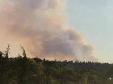 Локализиран е пожарът в Стара Загора