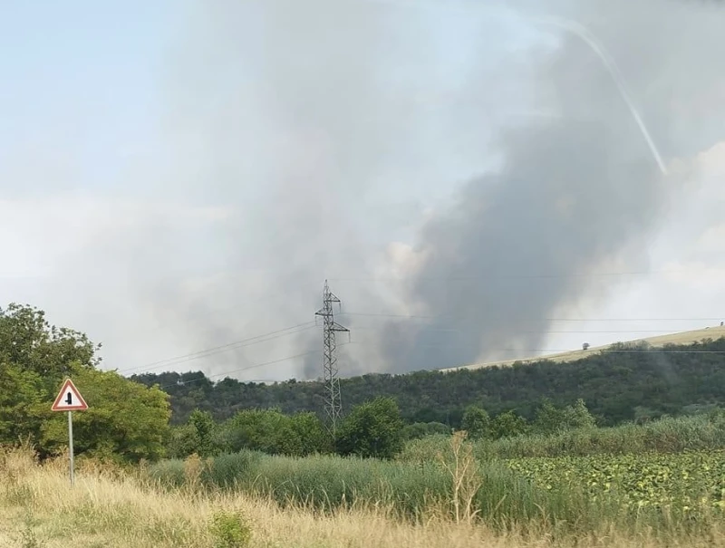 Пожарът край Ореш е потушен, но има засегнати къщи