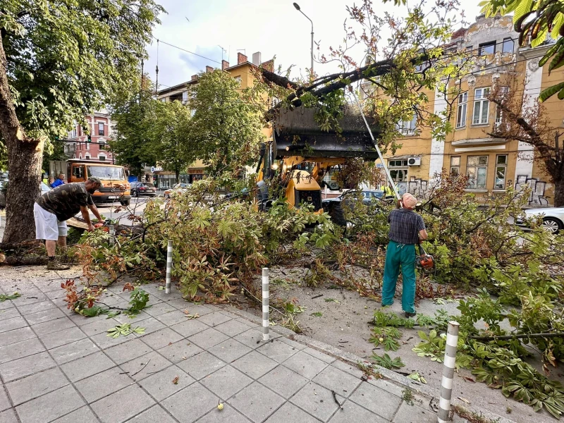 Община Русе с бързи реакции по време на бурята