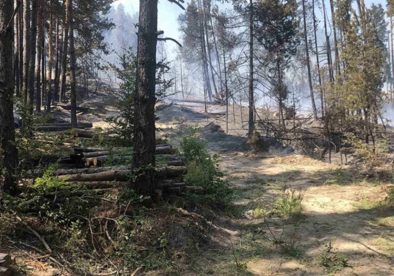 Локализиран от всички страни е пожарът край село Ваксево