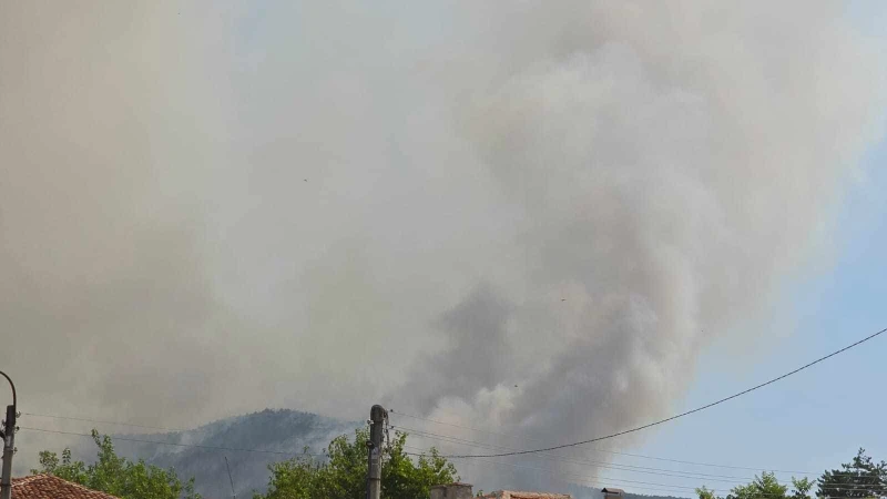 Директорът на Пожарната в Пловдив: Динамична е ситуацията в село Отец Паисиево, зависим от вятъра