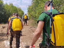 Успех на огнеборците в Пловдивско