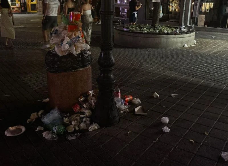 Свинщина около известна дюнерджийница на Главната