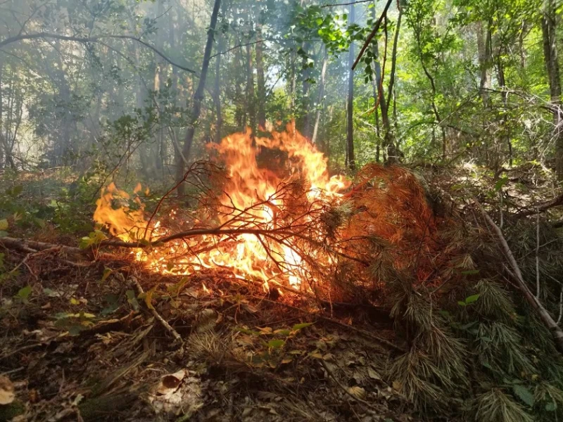 Нов пожар в Осоговска планина
