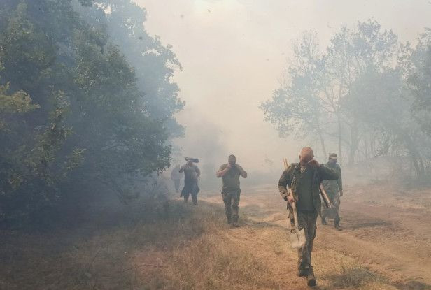 Пожари в цялата страна продължават да бушуват и днес Дъждът