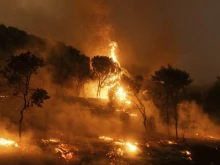 Избухна пожар в опасна близост до границата ни с Гърция! Инж. Поюков: Ако гръцките екипи не овладеят огъня до 24 часа, в понеделник ще влезе в България