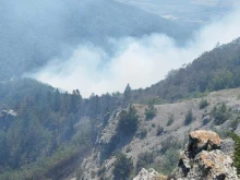 Пожарът край Странджа пак се разпали, служители продължават да се борят с огнената стихия