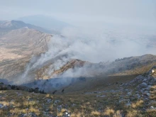 Гръцкият пожар вече е на 600 метра от границата с България