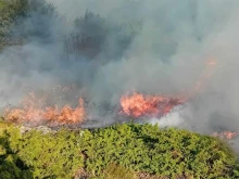 Овладени са четири от пет фронта на пожара в района на боляровските села Воден и Голям Дервент