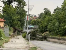 Десетки сигнали за паднали от снощната буря дървета са регистрирани в Павликенско, в селата все още се оплакват за проблеми с тока