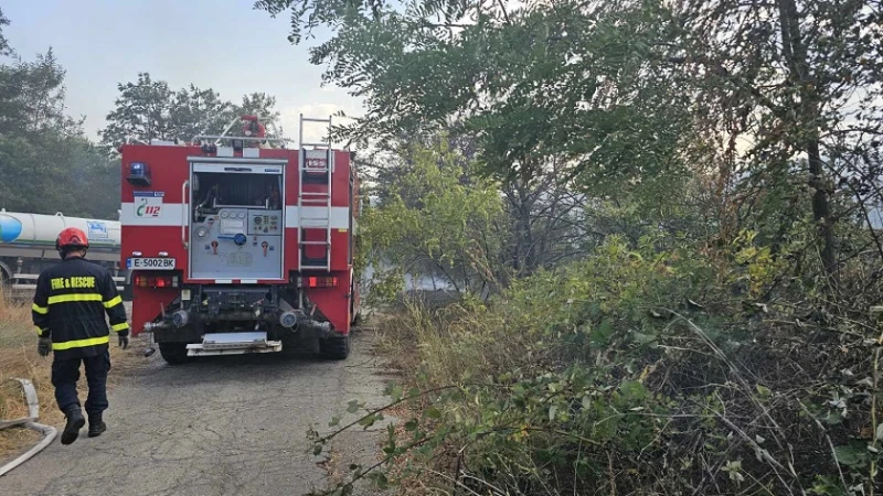 Локализиран е пожарът край Кочериново
