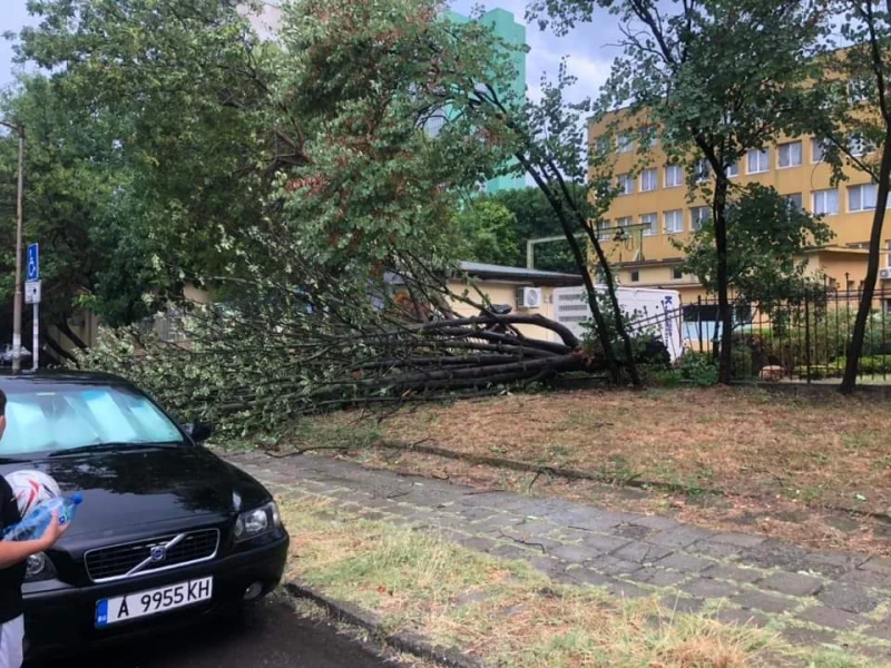 Бурята нанесе стотици щети в Бургас