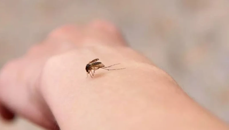 ���� ����� ���� �� �� ����� ������?�