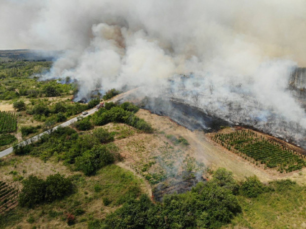 Над 90 дка. изгоряха за последните два дни в Гюргево: Свикват среща поради повишената опасност от пожари и в Русенско