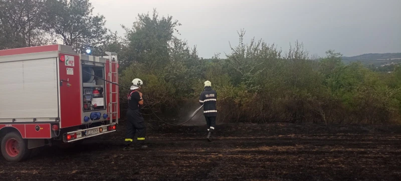 Отново пожари край свищовското село Ореш, спасени са 100 дка гори