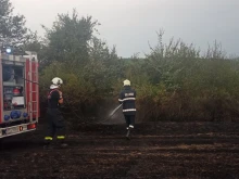 Отново пожари край свищовското село Ореш, спасени са 100 дка гори