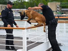 Кучето на ГДБОП Дарк, обучено да открива експлозиви, ще следи за безопасността на Олимпиадата в Париж