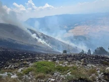 Кметският наместник на Голешово за пожара на българо-гръцката граница: Няма опасност за населените места