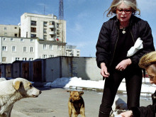 Актриса призова президента Ердоган да оттегли проектозакона за справяне с бездомните кучета